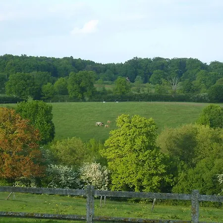 Charming Cottage In Cerilly With Swimming Pool *